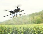 Video of Drone spraying fertilizer on corn fields, Smart farming innovation, Agriculture technology, Farm Automation